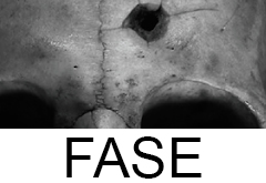 FASE