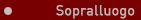 Sopralluogo