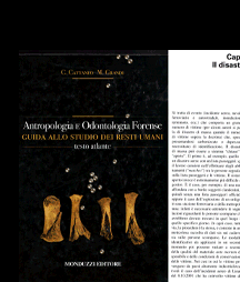 Disastro di massa